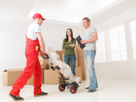 Local Sutton man and van transport for household items